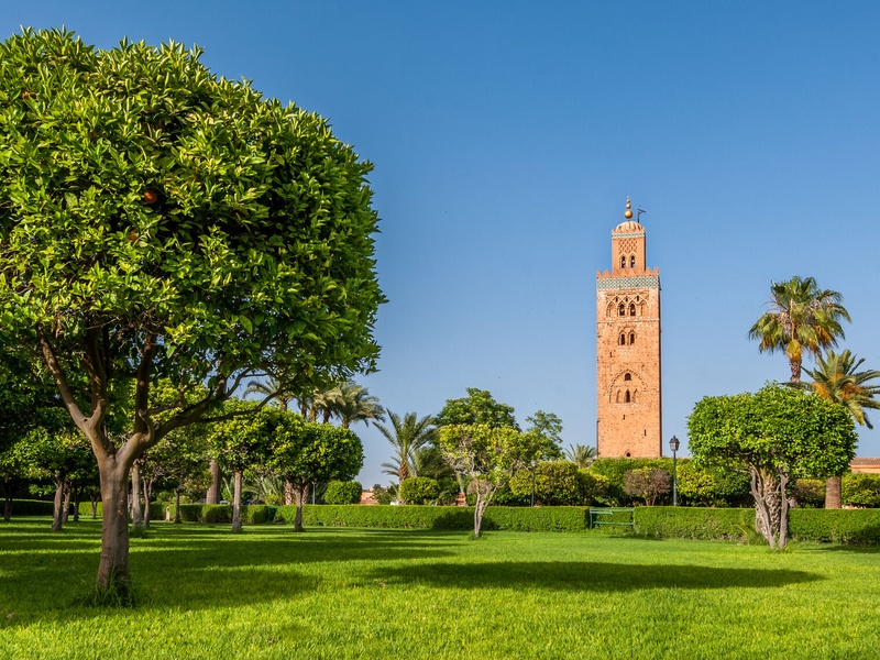 City Break Marrakech Découverte - 1
