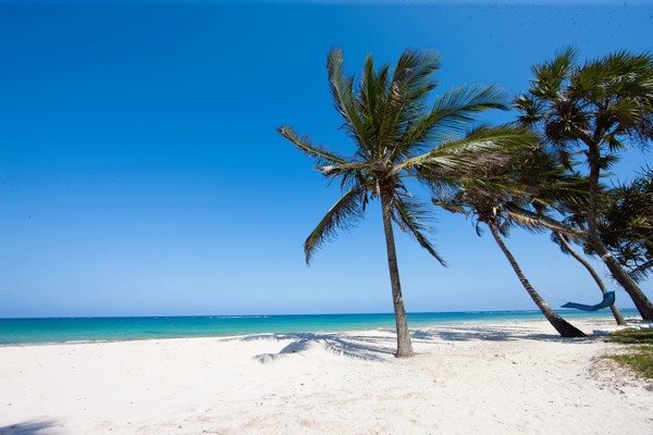 Hôtel Jacaranda Indian Ocean Beach Resort 4* - 1
