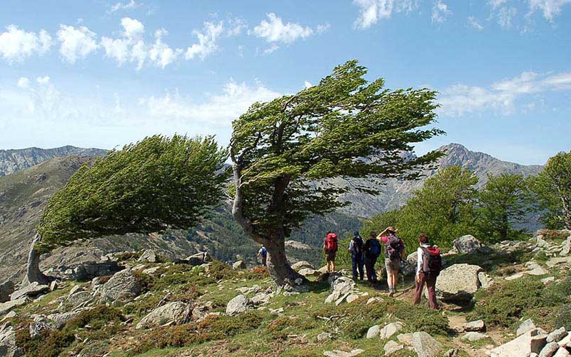 Circuit avec Randonnée itinérante Entre Terre et Mer, Niveau Moyen (M) - 1