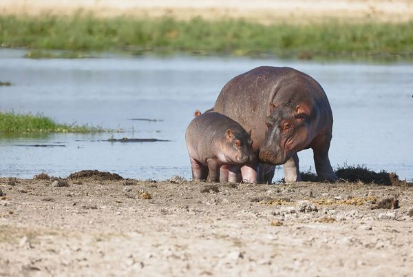 Circuit Douceurs du Kenya - 1