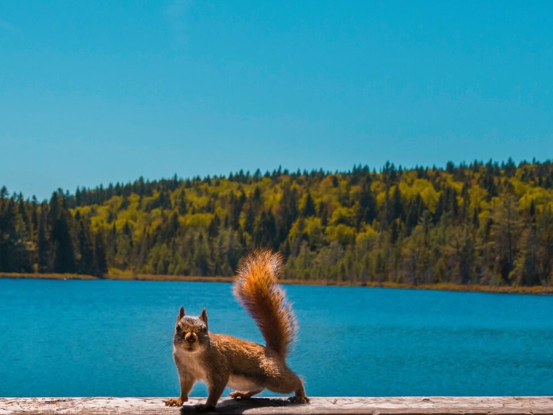 Beautés de l'Est Canadien - 12J/10N - 1