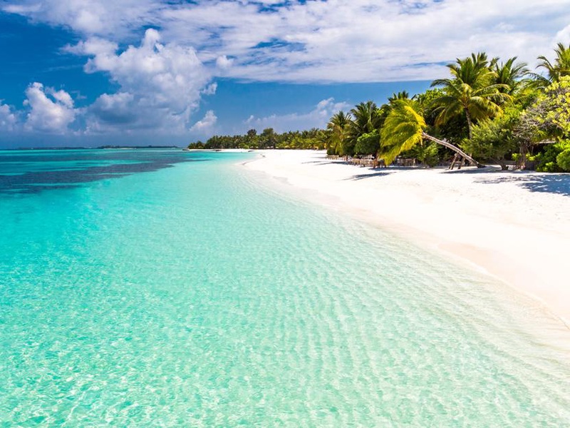 Hôtel Riu Atoll 4* - 1