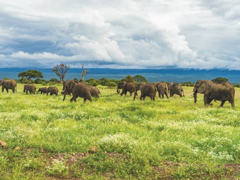 Safari Privatif - En Terre Sauvage - 1