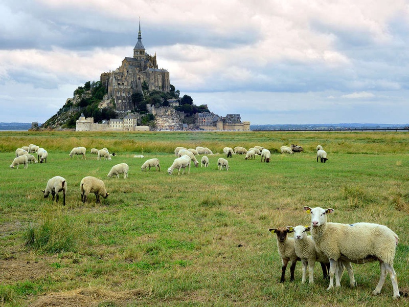 Découvrez Rennes et l'Abbaye du Mont-St-Michel le temps d'un week-end - 3* - 1