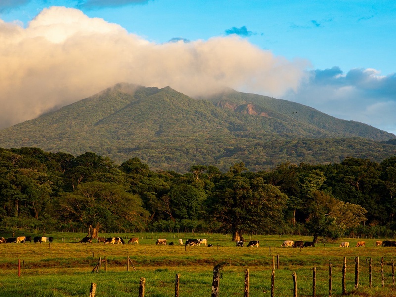 SUR LA ROUTE DU COSTA RICA ET RINCON DE LA VIEJA (Autotour) - 1