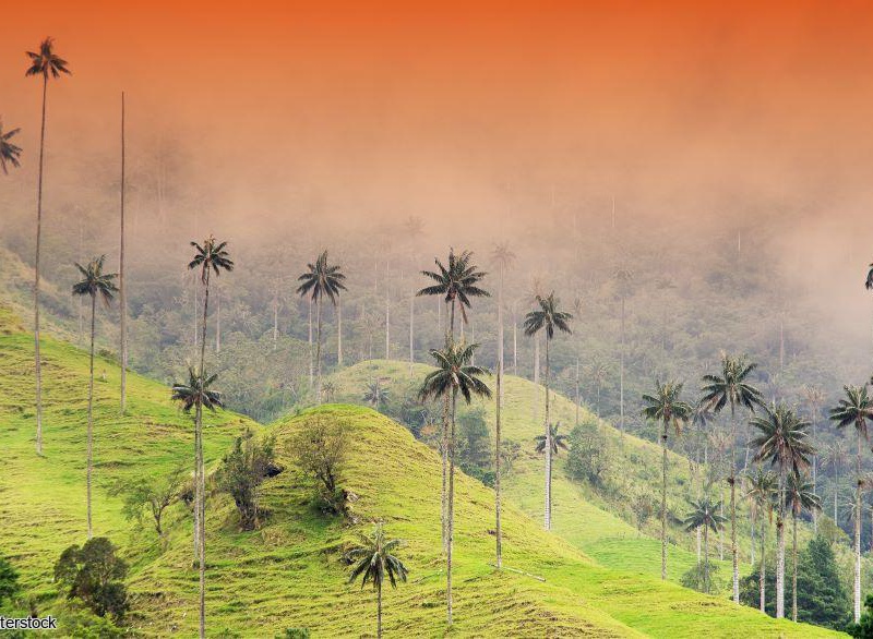 2026 - Circuit Colombie : Tierra Colombiana - Vols flexi - 18 personnes maximum - 1