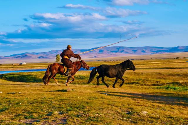 Pastorale Mongole - Mongolie - 1
