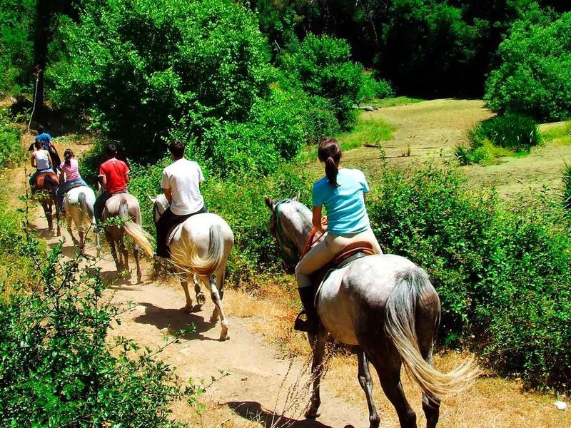 Profitez d'une escapade en Alsace avec 1 heure de balade à cheval en famille ! - 3* - 1