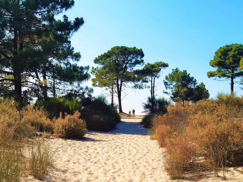 Camping Dolce Vita 3* - 1