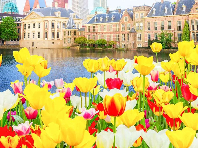 Dîner et séjourner dans le centre de La Haye, y compris des billets d'entrée pour le Keukenhof - 4* - 1