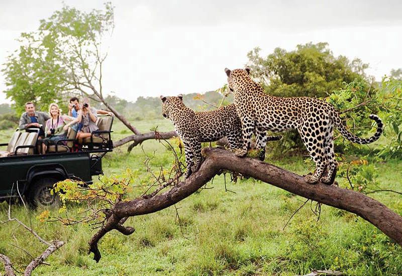 Circuit Les plus beaux safaris d'Afrique - 1