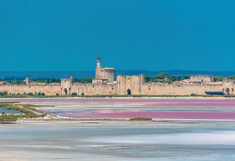 Circuit autocar Entre Camargue et Provence - 1