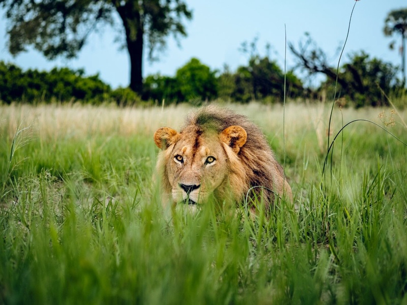 Circuit Découvertes Kenyanes et séjour hôtel Leopard Beach Resort 4* - 1