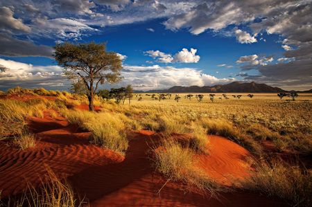 Circuit Splendeurs de Namibie et extension Fish River Canyon - 1