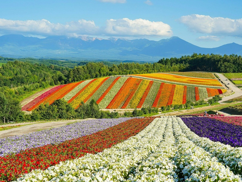 A la découverte d'Hokkaido - 1