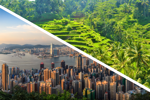 Combiné De Hong Kong à la Jungle de Bali - 1