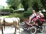 Camping Paradis - Domaine de Bellevue, 4* - 160