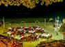 Club Coralia Filao Beach by Sansi 4* - 15