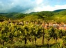 Escapade alsacienne sur la Route des Vins - 4* - 3