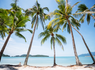 Essentiels de Malaisie et plage à Langkawi 4* - 1