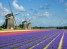 Découvrez Scheveningen et le Keukenhof en un week-end - 3* - 28