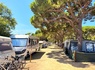 Camping Vall d'Or 3* - 73