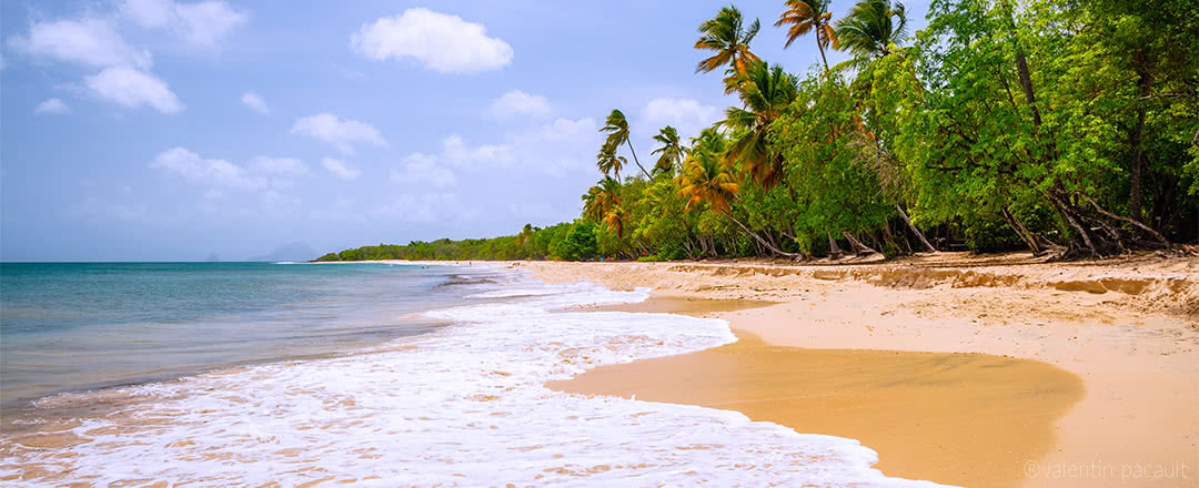 AUTOTOUR MARTINIQUE - 12