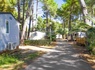 Camping Taxo les Pins, 4* - 18
