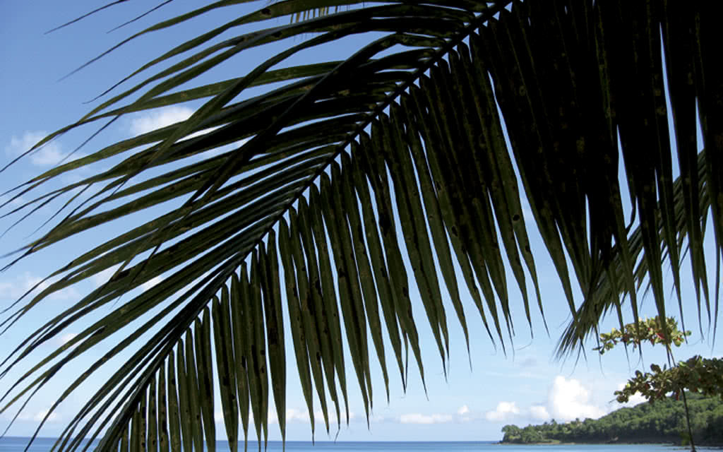 Résidence Hôtelière Fleurs des Iles 2* - 6