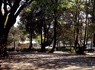 Camping Boschetto di Piemma, 3* - 19