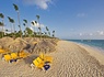 Circuit Échappée Dominicaine depuis l'hôtel Iberostar Waves Punta Cana 5* - Arrivée Punta Cana - 8