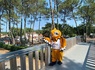 Camping Lou Pignada, 5* - 163