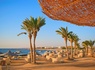 Hôtel Dreams Beach Resort Sharm El Sheikh 5* - 11