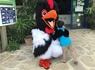 Camping Les Fontaines, 3* - 14