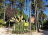Camping Ushuaïa Village Les Pins d'Ucel 4* - 30