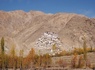 Circuit Voyage au pays Ladakhi : du tumulte de Delhi au silence des hauts plateaux **** - 4