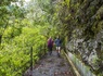 Circuit Echappée Sentiers de Madère depuis l'hôtel Cabo Girão 4* - 3