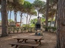 Camping Pineta sul Mare, 3* - 12