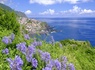 Circuit Energie de Madère - Dom Pedro Madeira Hôtel 4* - 8