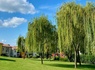 Belvedere Village - 29