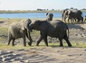 Splendeurs de Namibie et Séjour Chobe et Chutes Victoria 16J/13N - 18