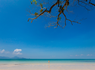 Essentiels de Malaisie et plage à Langkawi 4* - 29