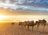 Combiné Ôclub Expérience Dunes d'Or 4* et Désert de Merzouga - 13