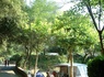 Camping Sites et Paysages - Les Pinèdes, 4* - 39