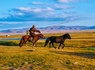 Mongolie, terre nomade - 2