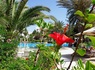 Hôtel Aziza Golf & Thalasso 4* - Adult Only (18+) - 16