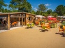 Camping L'Orée du Bois 4* - 30