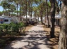Camping Cavallino, 4* - 40