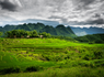 Circuit Des Rizières de Mai Chau à la Baie d'Halong - 9