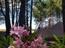 Camping Hello Soleil, 3* - 7
